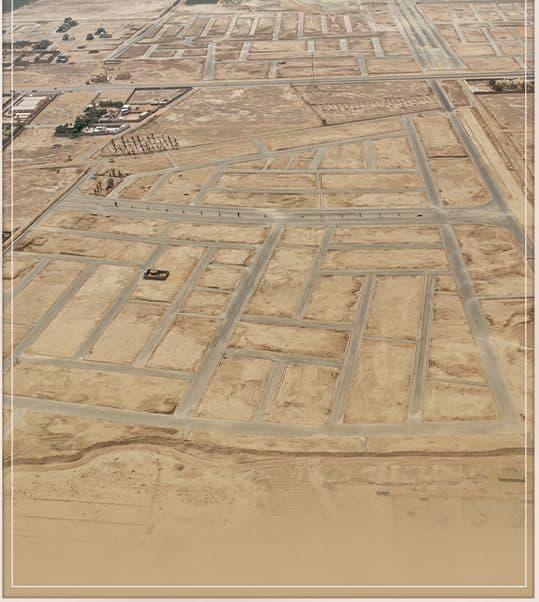 مخطط النرجس